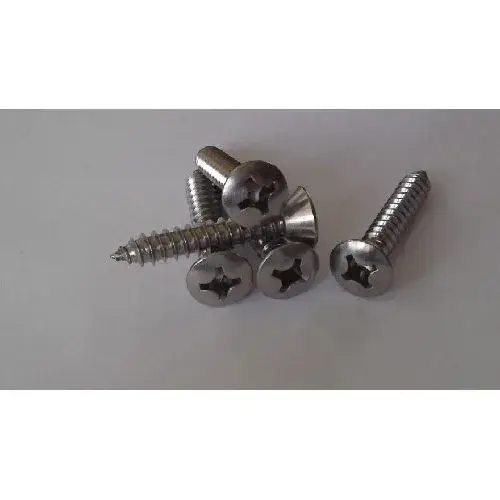 Betaalbaar Plaatschroeven lenskop 4,8×25mm RVS 316