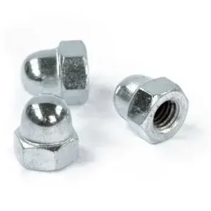 Dopmoer M6 RVS 316 DIN1587 A4 Direct Beschikbaar