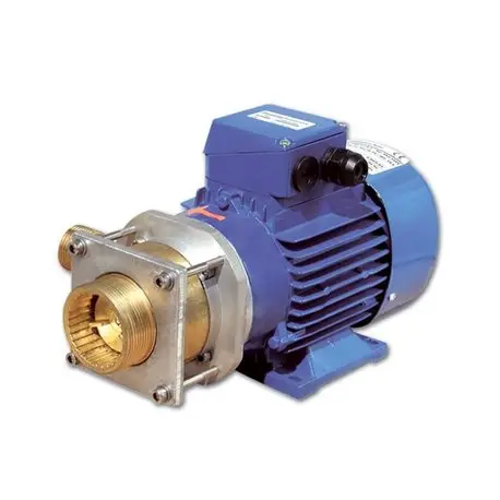 RHEINSTROM VERSNIJDINGSPOMP FS370 BRONS RVS Actieprijs