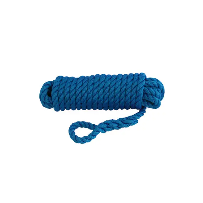 Direct Beschikbaar Talamex Fenderlijn polypropyleen blauw