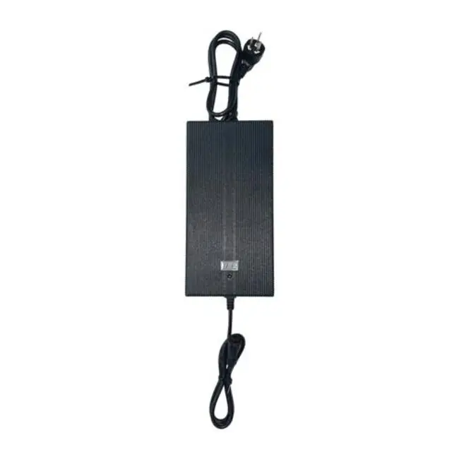 Wolong Flowstar snellader 10A/48V Direct Verzonden