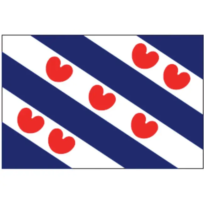 Talamex Friese vlag 100x150 Fabrieksprijs