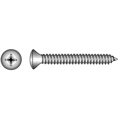 Beperkt Aanbod Plaatschroef, LK.Kr. 3.9x38, Philipskruis