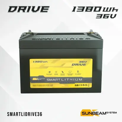 SMART LITHIUM DRIVE 36V 1380Wh Lage Kosten