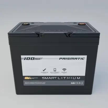 Alleen Vandaag Smart Lithium Prismatic 100Ah