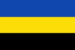 Aanbieding Vlag provincie Gelderland